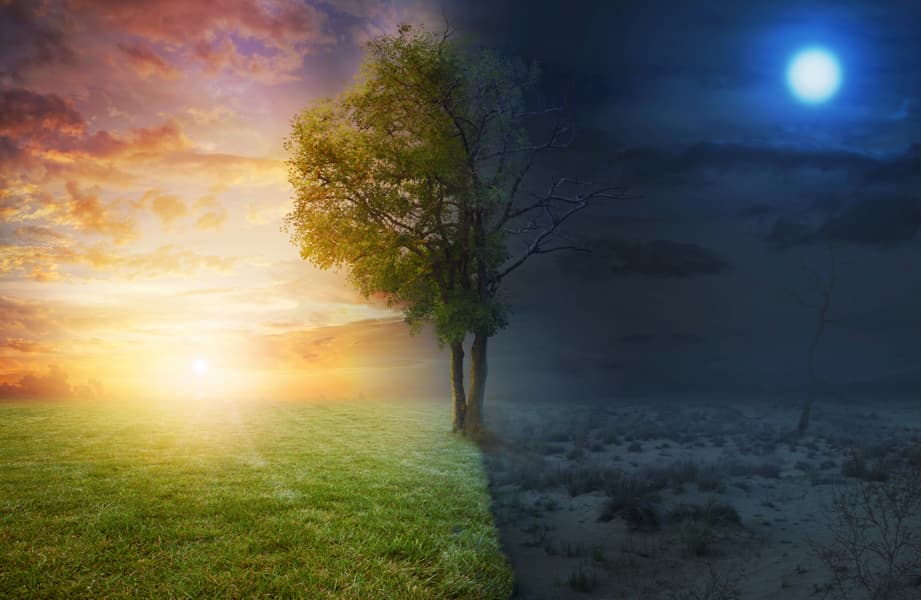 night-and-day-landscape-with-a-single-tree_BX5Z11zlA copy.png